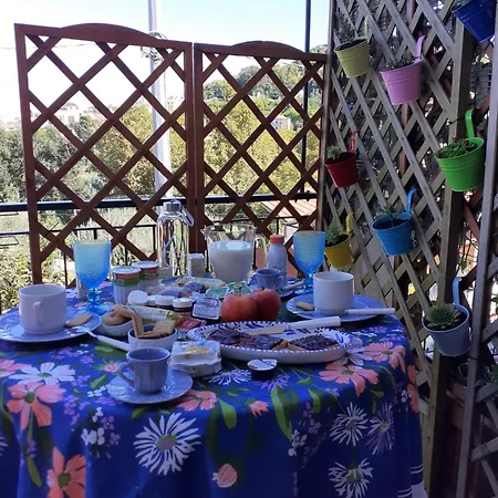 La Magnolia A 500mt Dal Mare * مارينا دي سان فيتو