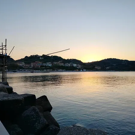 La Magnolia A 500mt Dal Mare