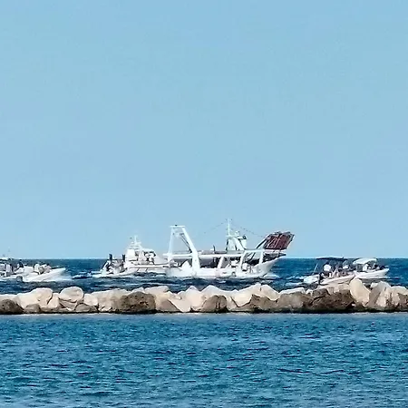 La Magnolia A 500mt Dal Mare Apartament Marina di San Vito