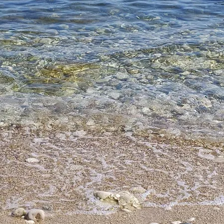 Apartament La Magnolia A 500mt Dal Mare