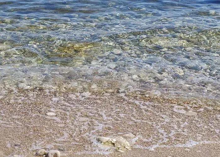 Apartmán La Magnolia A 500mt Dal Mare